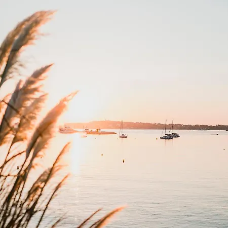 Mauresque - Cozy 5 Min Walk To Apartment Golfe-Juan